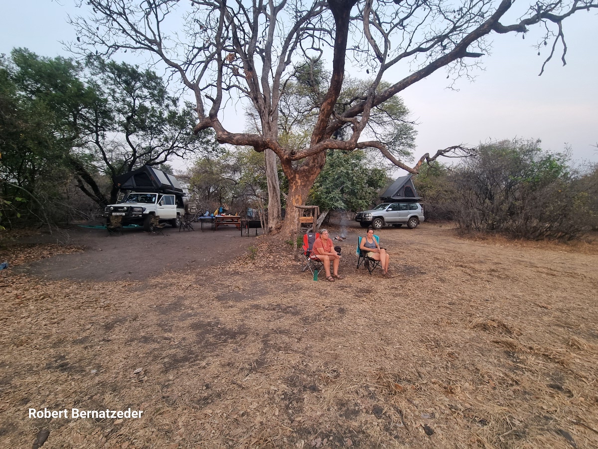 A bush camp under a spreading tree, with rooftop tents and camp chairs