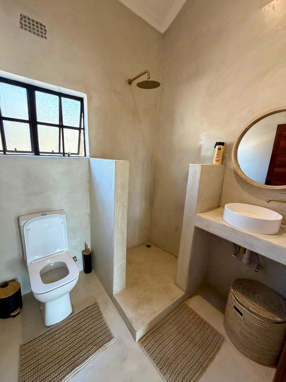 The second bathroom, with a walk-in shower, vessel basin and brass fittings