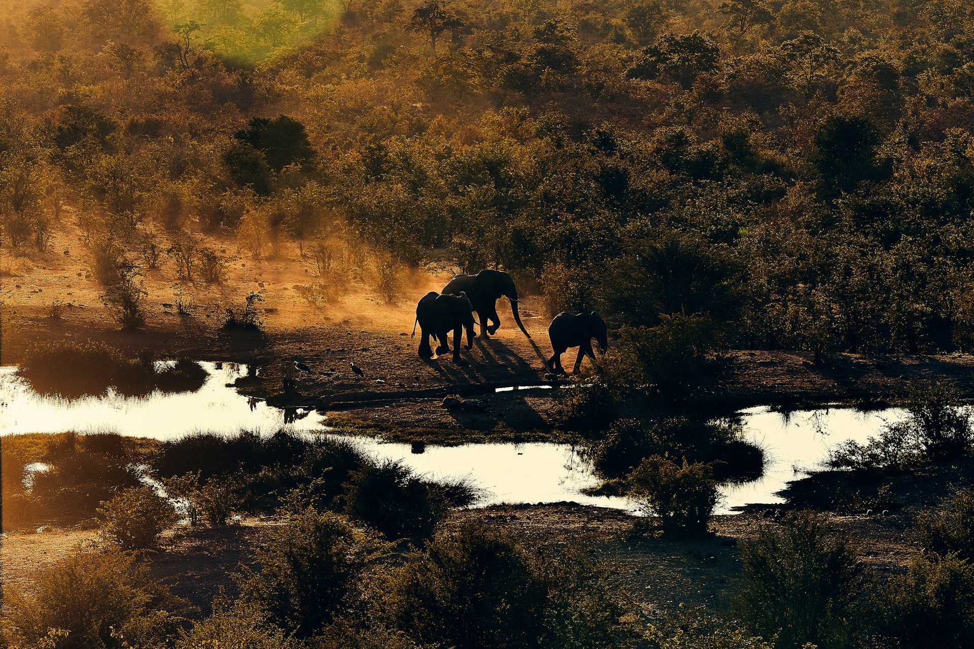 Zimbabwe
